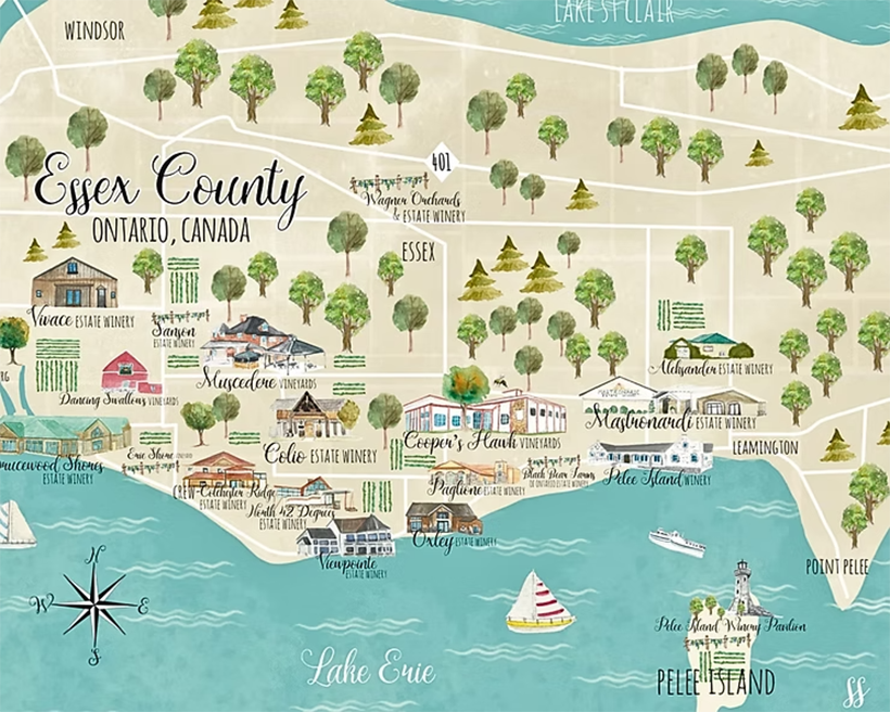 The EPIC Wine Region: Ontario’s Best-Kept Wine Secret!