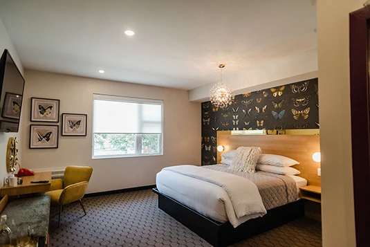 Room 21: Float Like a Butterfly