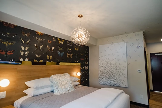 Room 21: Float Like a Butterfly