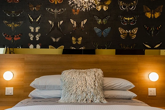 Room 21: Float Like a Butterfly