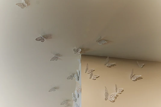 Room 21: Float Like a Butterfly