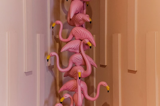 Room 22: Let's Flamingale