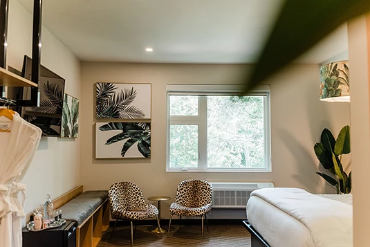 Room 24: Welcome To The Jungle