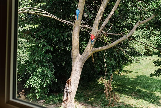 Room 24: Welcome To The Jungle