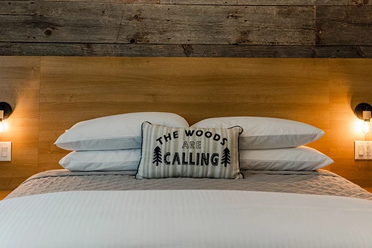 Room 25: Do You Like Big Bucks?