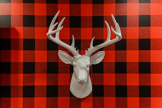 Room 25: Do You Like Big Bucks?