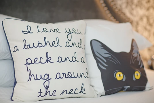 Room 3: Bye Bye Birdie, cat pillow