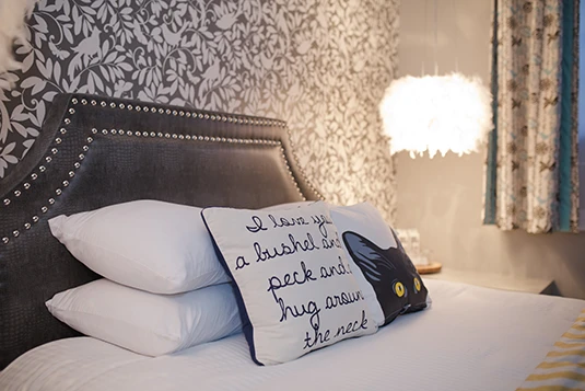 Room 3: Bye Bye Birdie, queen bed