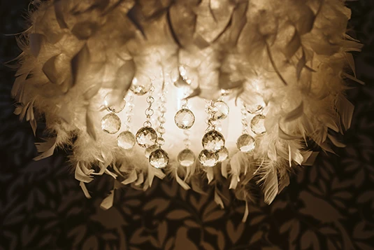 Room 3: Bye Bye Birdie, chandelier